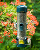 Brome Mega600™ Tube Bird Feeder (2.36 qt / 4 lb - 6 Perches)