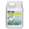 Algaefix Algae Control Solution (16-oz.)