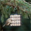 More Birds® Single Suet Cage Bird Feeder