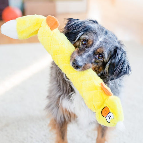 ZippyPaws Jigglerz® - Duck (1-Count)