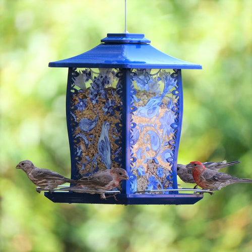 Nature's Way Paisley Sky Gazebo Bird Feeder (11.3”H x 11.5”W x 11.5”D)