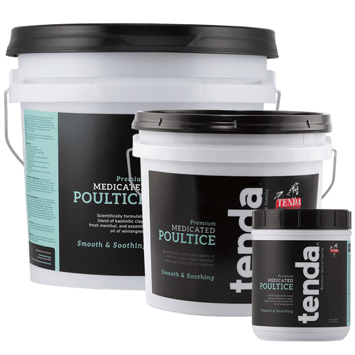 Tenda Horse Products Premium Medicated Poultice (5lb Case (6 Jars))