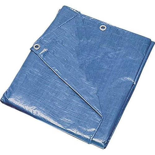 ProSource 20 ft x 30 ft Medium Duty Tarp (20' x 30', Blue)