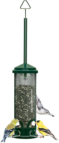 Brome Bird Care Squirrel Buster Mini™