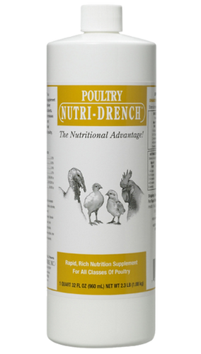 Bovidr Laboratories Poultry Nutri-Drench® (4 oz)