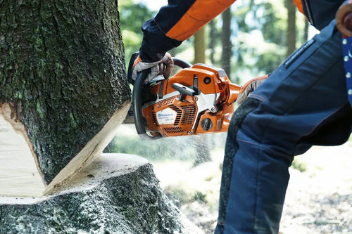 Husqvarna 562 XP® Gas Chainsaw