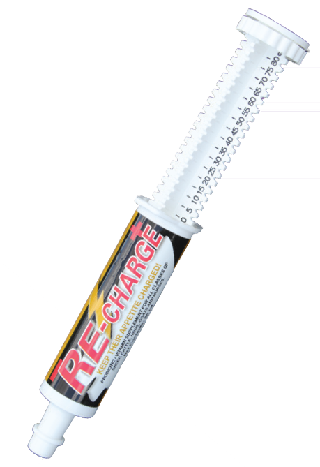 Formula of Champions SFI Re-Charge Paste