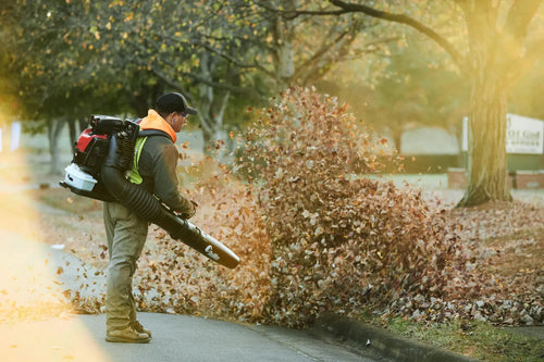 RedMax EBZ9000-RH Leaf Blower