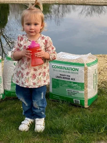 Enviroscape Mighty Fine Lawn Repair Mix