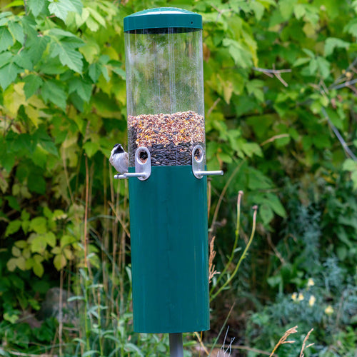 Birds Choice Squirrel Proof Classic Bird Feeder with Pole and Squirrel Baffle