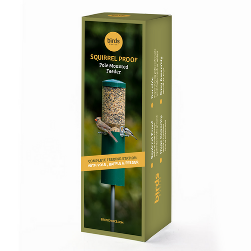 Birds Choice Squirrel Proof Classic Bird Feeder with Pole and Squirrel Baffle