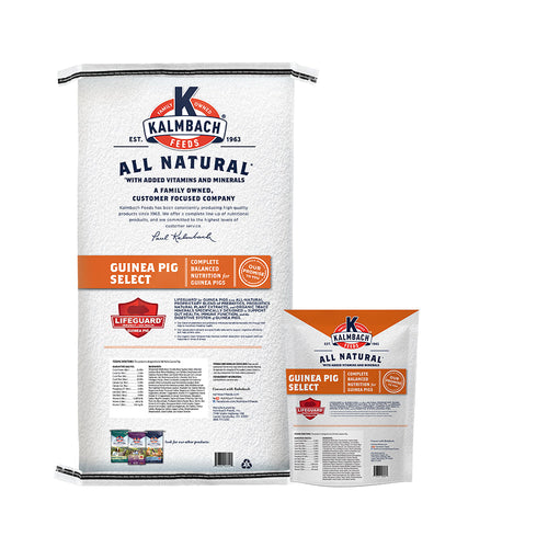 Kalmbach Guinea Pig Select