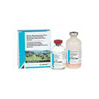 Elanco Master Guard® 10HB 10 Doses