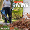 Senix X6 60V 810 CFM Cordless Leaf Blower (Kit)