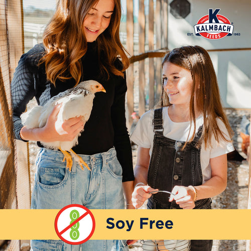 Kalmbach Feeds Henhouse Reserve Love Bug™ for Chickens and Poultry