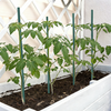 BigTree Garden Stakes 2-6FT Natural Bamboo Plant Stakes