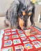 Spunky Pup Count Down to the Holidays Treat Advent Calendar