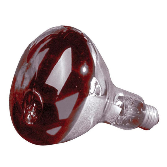 HEAT LAMP BULB (250 WATT)