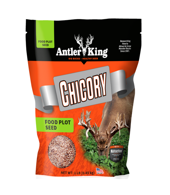 Antler King Chicory (1 lb)
