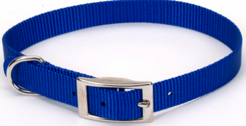 Coastal Pet Products Standard Nylon Small Dog Collar