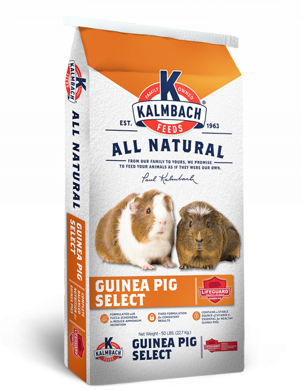 Kalmbach Guinea Pig Select - Elizabethtown, PA - Brandt's Farm Supply