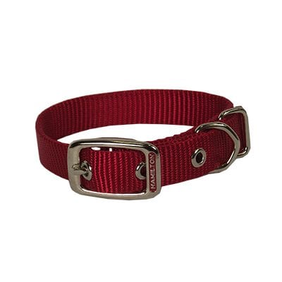 Hamilton Single Thick Nylon Deluxe Dog Collar