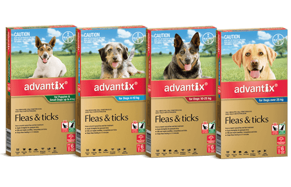 K9 Advantix