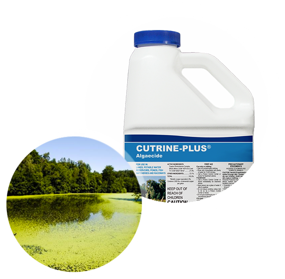 Applied Biochemists Cutrine® Plus Algaecide and Herbicide