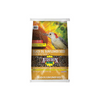 Audubon Park Black Oil Sunflower Seed Wild Bird Food (20 lbs)