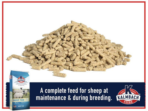 Kalmbach 16% Ewe Builder Sheep Feed (50 Lb.)