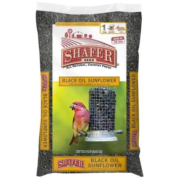 SHAFER BLACK OIL SUNFLOWER (5 lb)